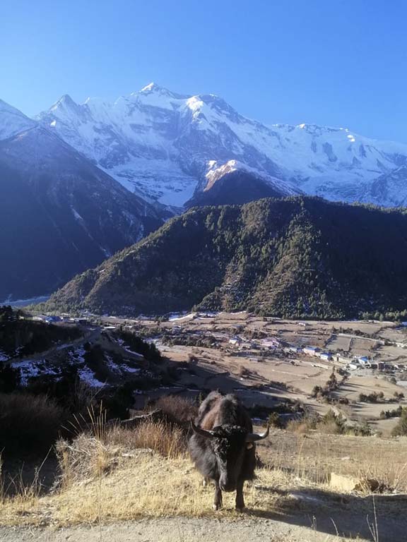Himalayas Climbing
